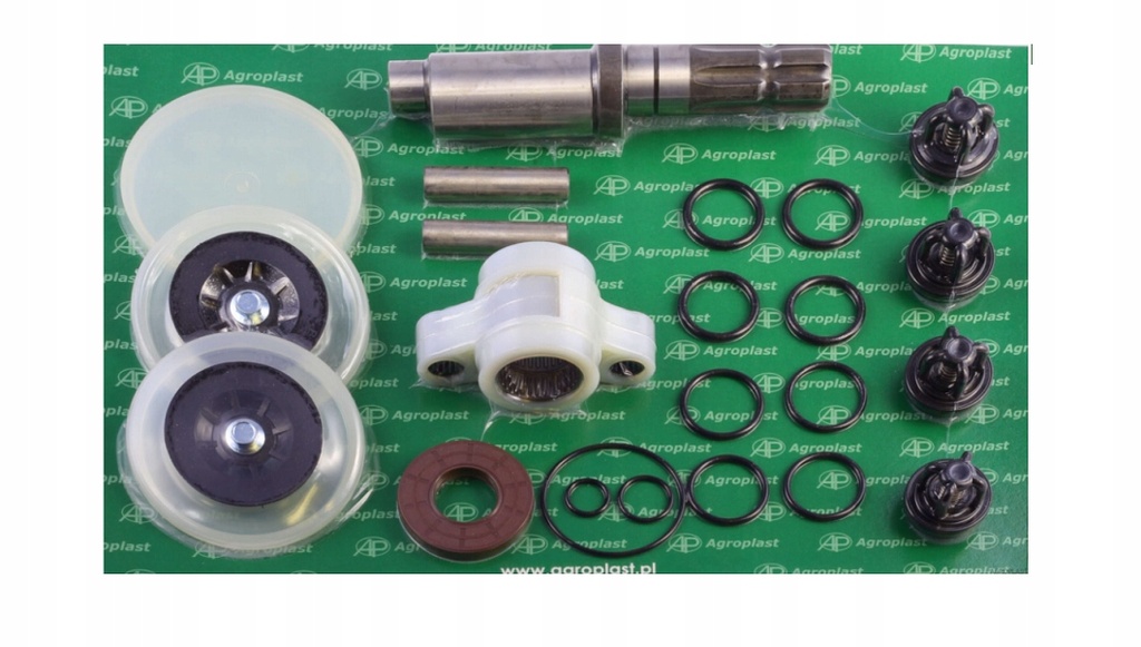 KIT REPARACION COMPLETO BOMBA P100