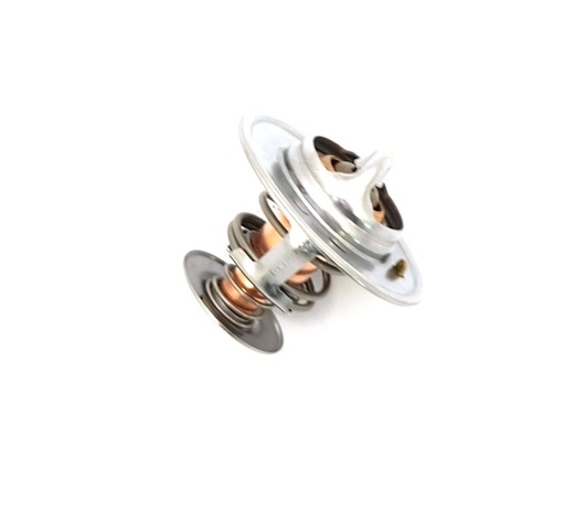 [029768] TERMOSTATO AGUA MF